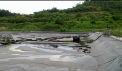 �����B�VҺ